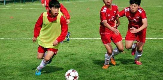  法国足协推行青少年球员培养新方案  